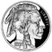 2001 American Buffalo Silver Dollar